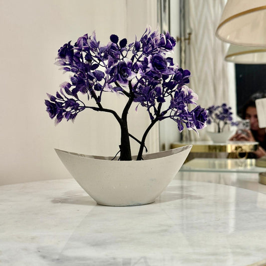 Miniature Tree planter for Home and Office Decor